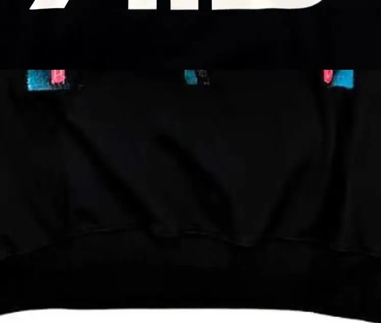 ENCORE TOUR HOODIE